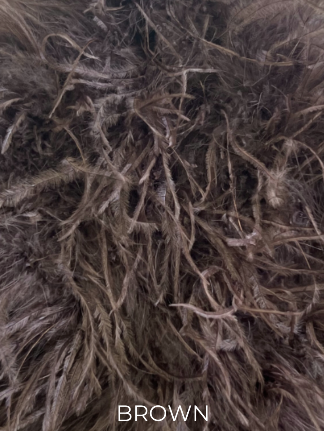 Linda Richards Genuine Feather Shoulder Shrug-Stole