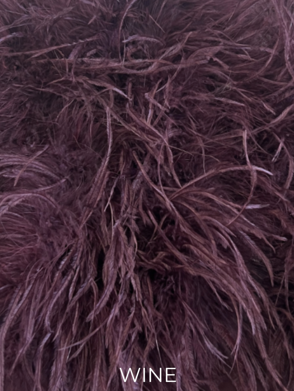 Linda Richards Genuine Feather Shoulder Shrug-Stole