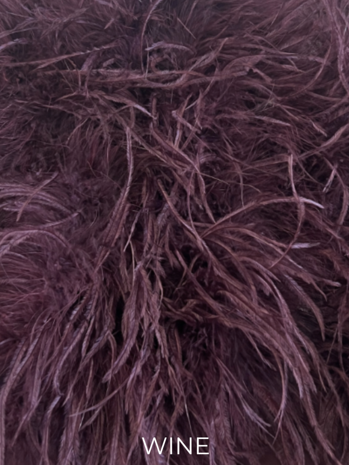 Linda Richards Genuine Feather Shoulder Shrug-Stole