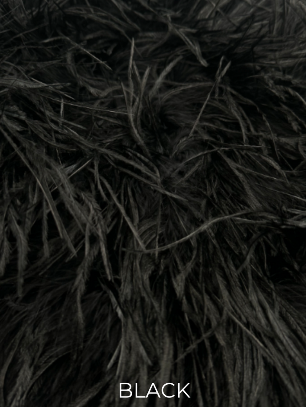 Linda Richards Genuine Feather Shoulder Shrug-Stole