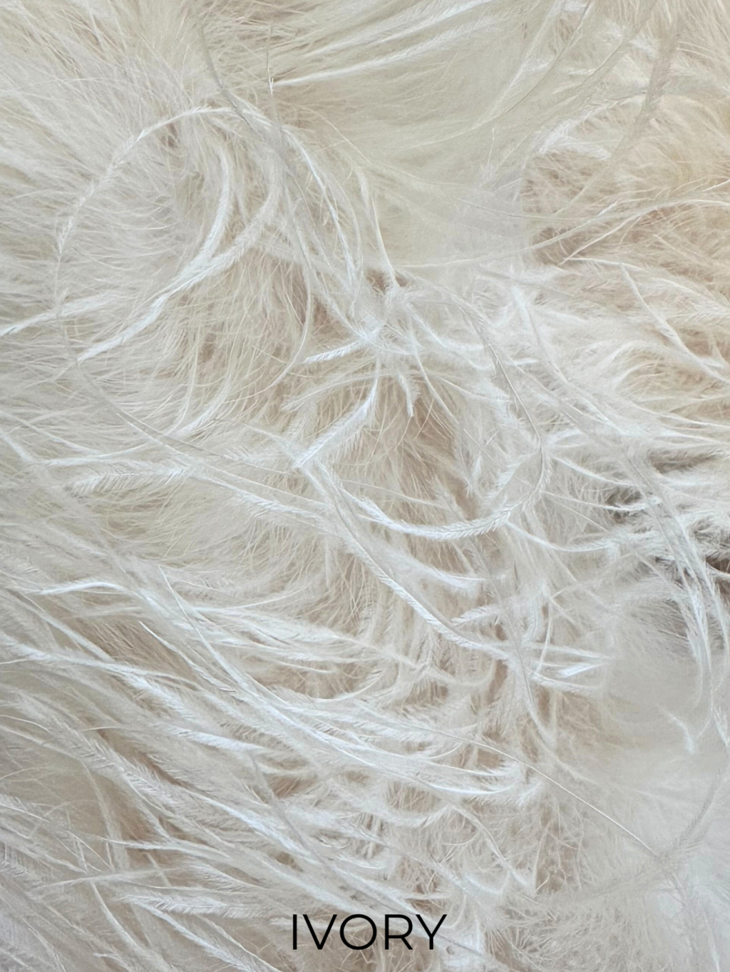 Linda Richards Genuine Feather Shoulder Shrug-Stole