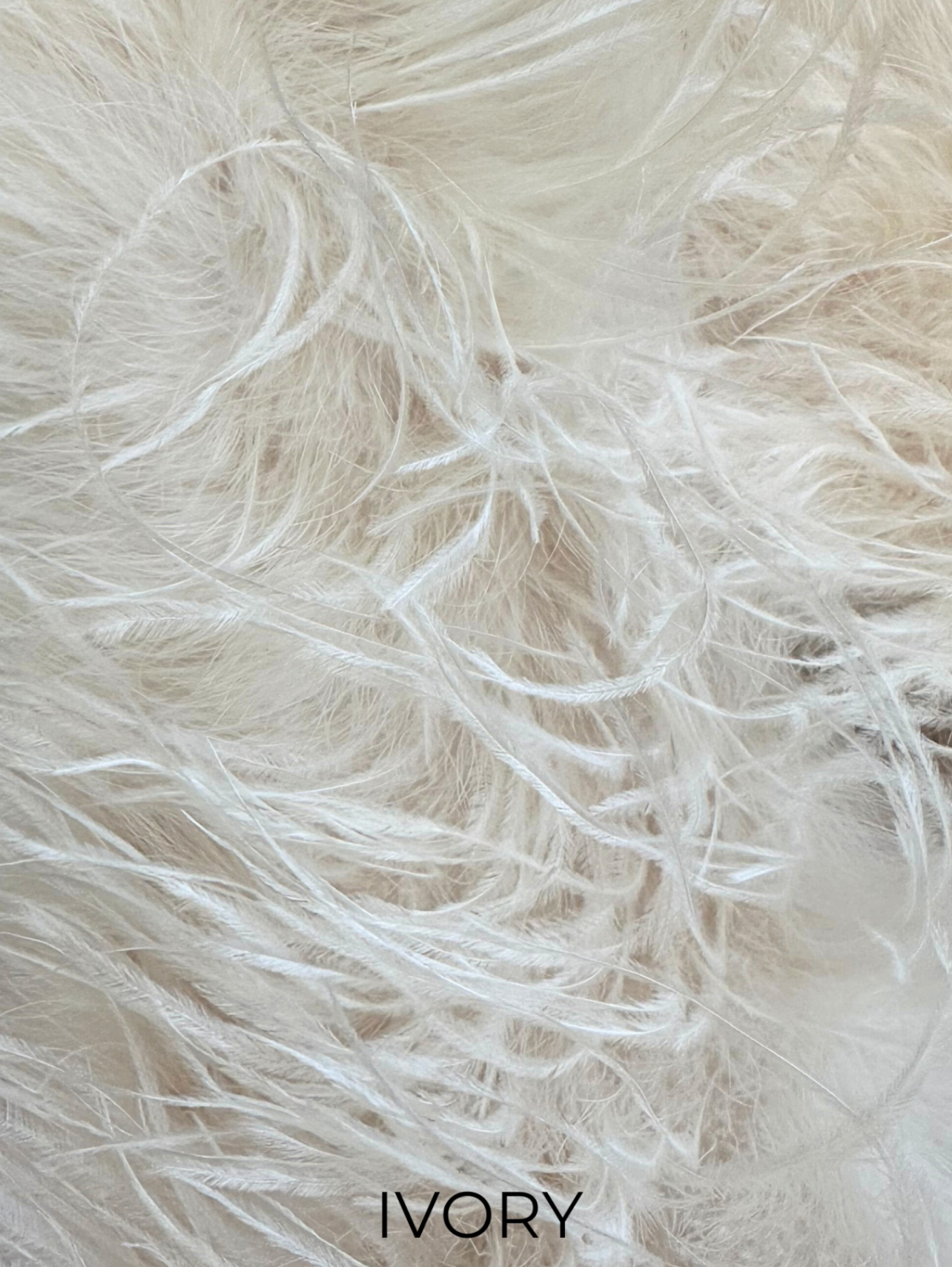 Linda Richards Genuine Feather Shoulder Shrug-Stole