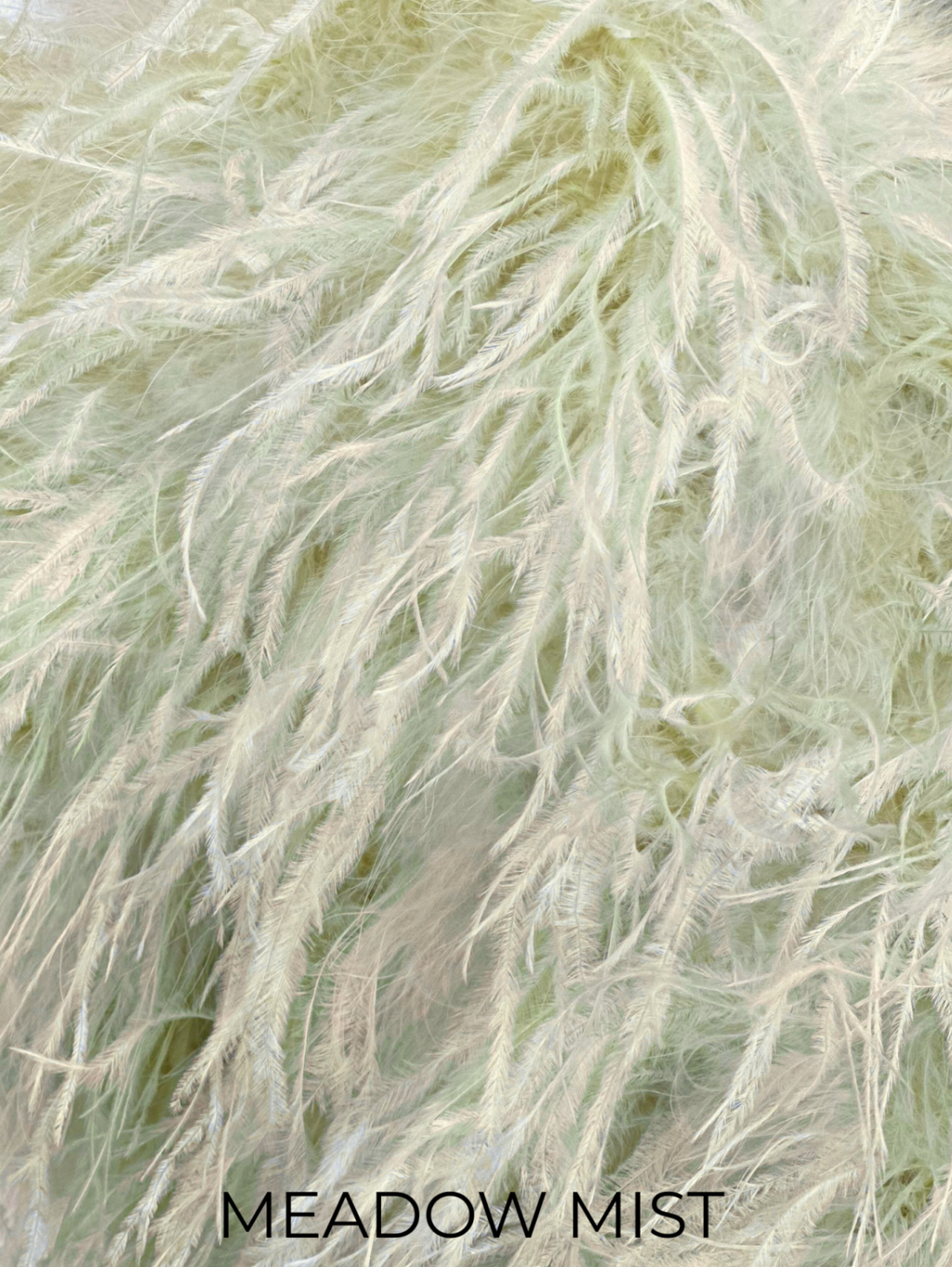 Linda Richards Genuine Feather Shoulder Shrug-Stole