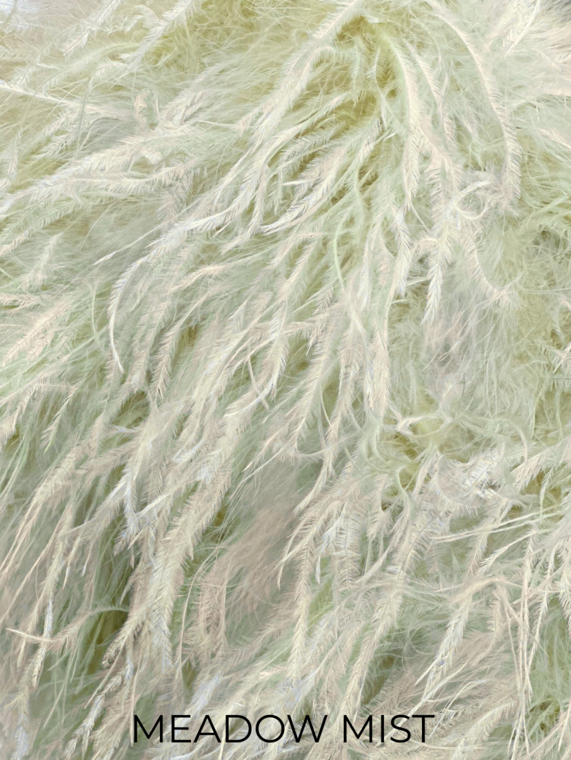 Linda Richards Genuine Feather Shoulder Shrug-Stole