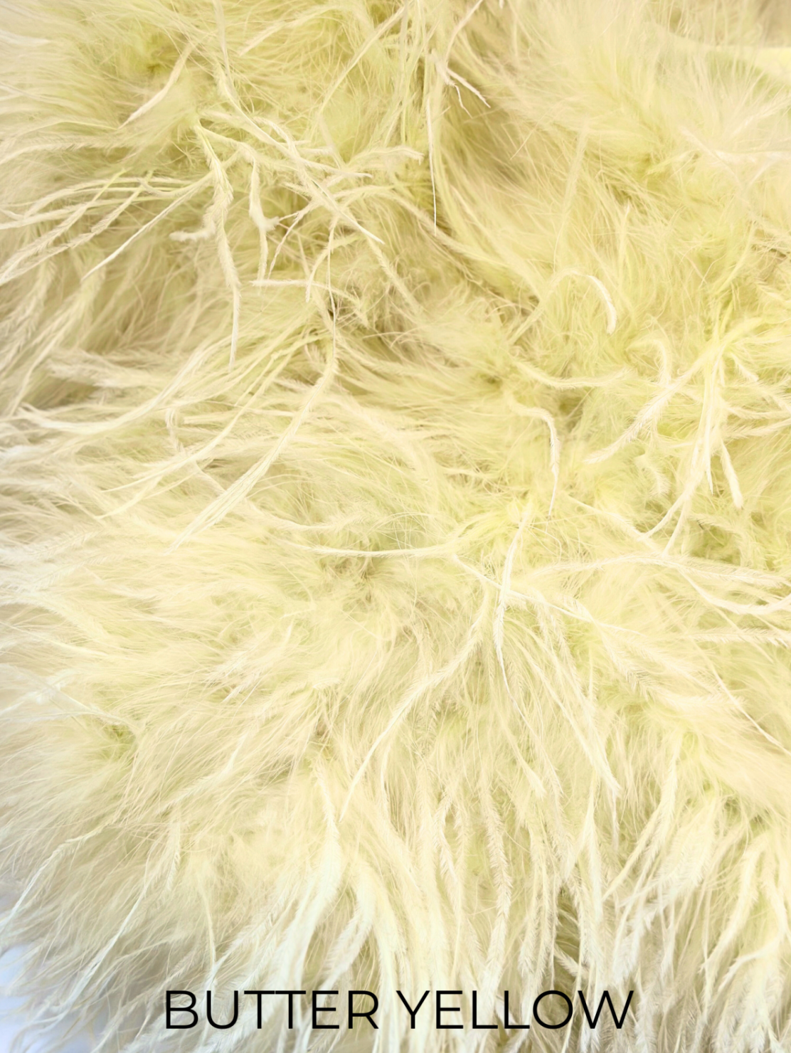 Linda Richards Genuine Feather Shoulder Shrug-Stole