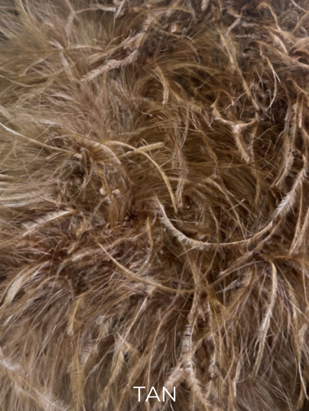 Linda Richards Genuine Feather Shoulder Shrug-Stole