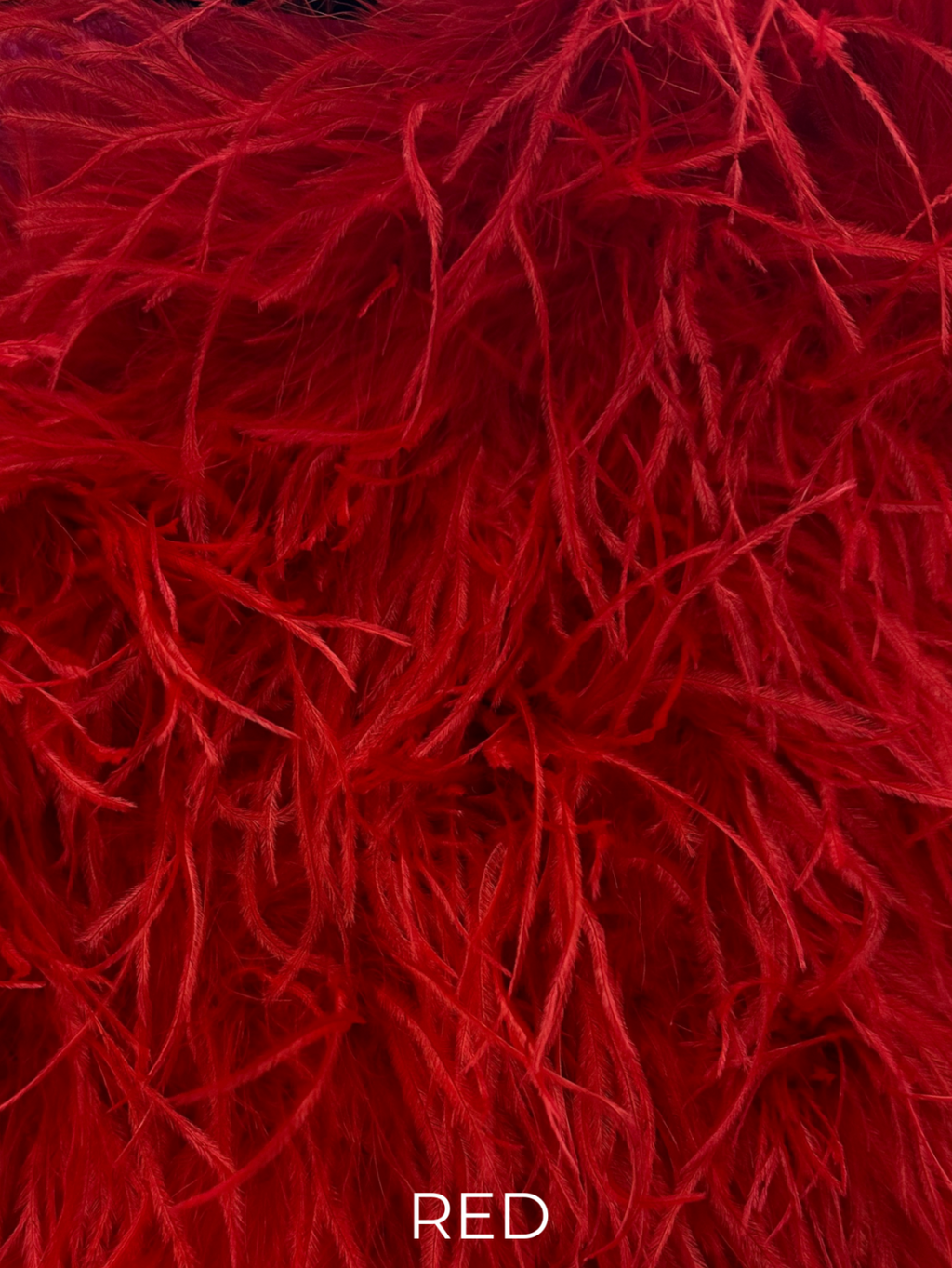 Linda Richards Genuine Feather Shoulder Shrug-Stole