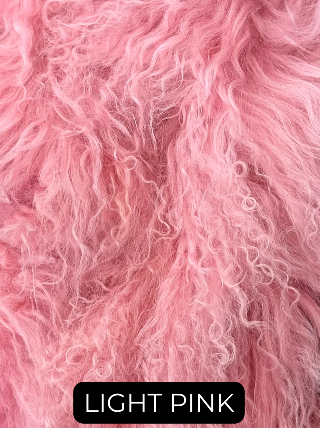 Scarf, Genuine Mongolian Wool Infinity Scarf - Linda Richards -Style IN91