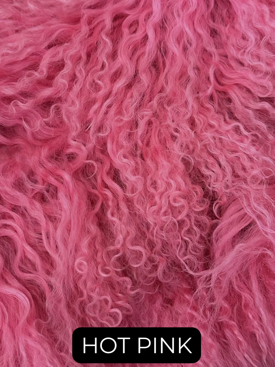 Scarf, Genuine Mongolian Wool Infinity Scarf - Linda Richards -Style IN91