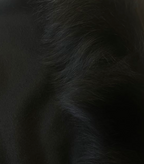 Linda Richards Cashmere Blend Shawl with Fox FurTrim-10