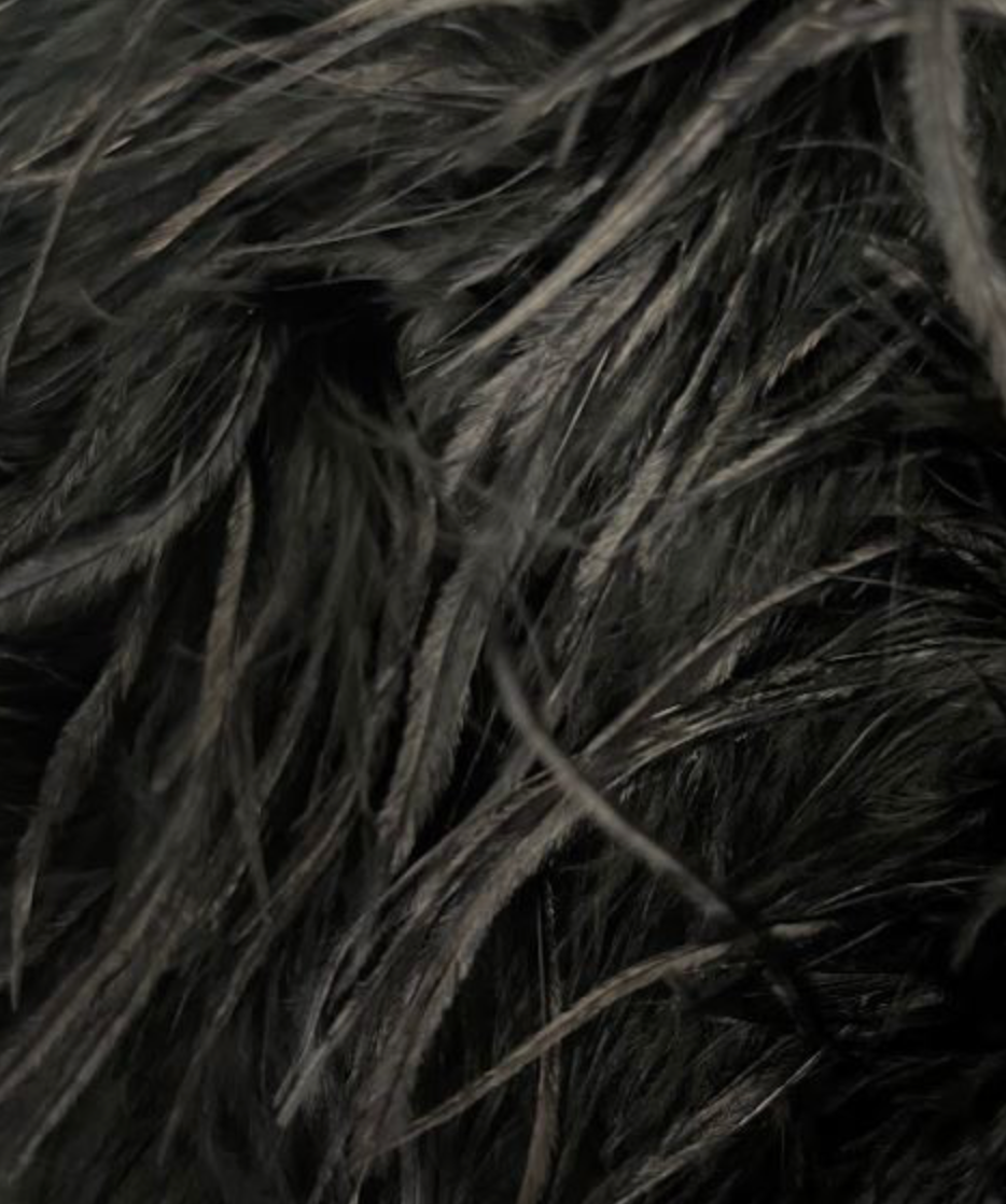 Linda Richards Ostrich Feather Cape FT33