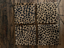 Coasters Set of Four, Hair on Calf Hide, Color Options