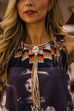 Earrings, Extra Long Mixed Feathers, Mixed Grizzly