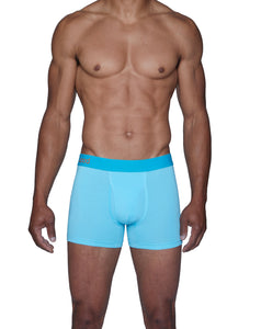 Men's Boxer Brief w/Fly, Underwear, 7 Colors, 4501T