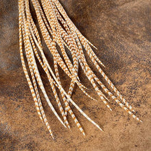 Earrings, Long Feathers with Hooks