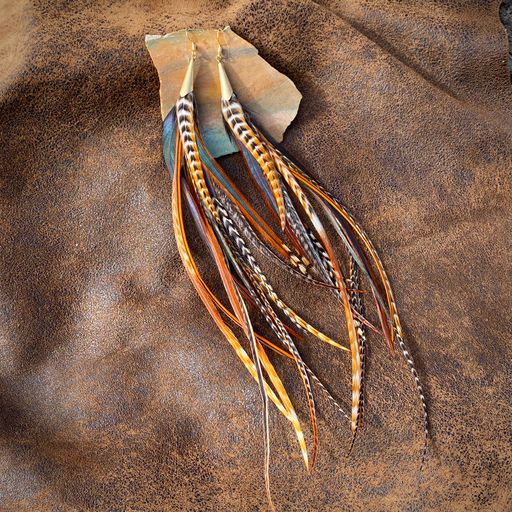 Earrings, Long Feathers with Hooks